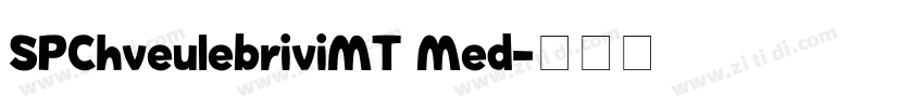 SPChveulebriviMT Med字体转换